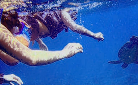 ��ˮ����������2ƪ