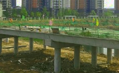 �P�ژ����ă���ɢ��