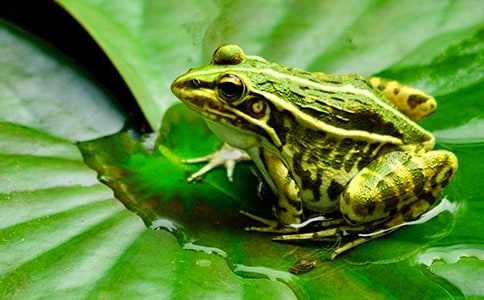 ��С���ܡ��n�Ľ̌W��˼