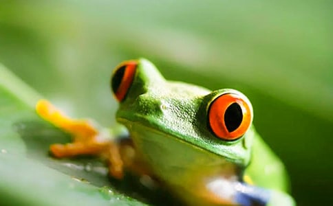 ���܆�ʾ����(15ƪ)