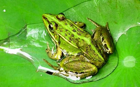 �����ܺ��ߡ��f�n��