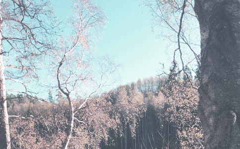 ����＾�Ĺ������Y���ģ����x6ƪ��