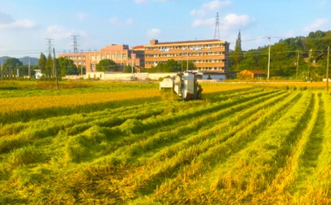 ���ն��ض�ɢ���S�P