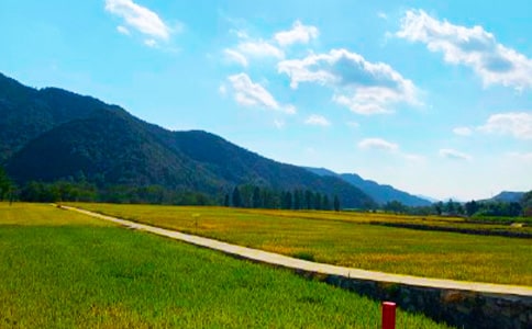 ���յ���Ϣ����(�؂�15ƪ)