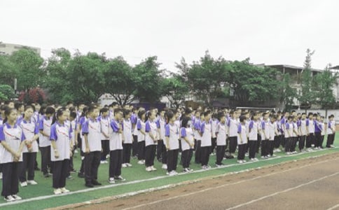 ɢ�W��Y����ͨ��26ƪ��