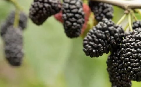 �Ґۼ��l(xi��ng)��ɣ������