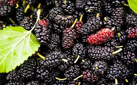 С�WƷ�Lɣ�ص���ӛ400��