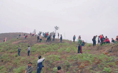 ��ʿ��@��Ĺ�ĵ÷��ģ�ͨ��28ƪ��