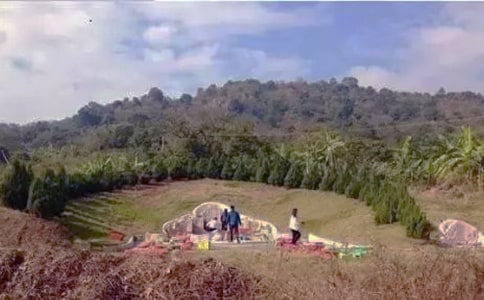 ��ͥ��Ĺ����