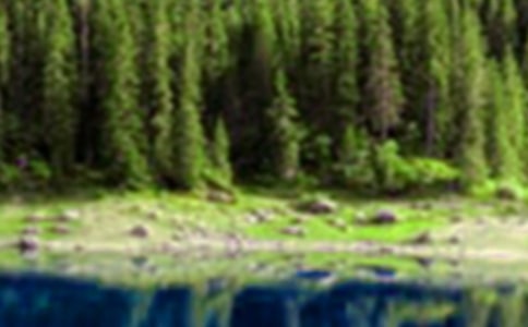 ɽˮ����ɢ��