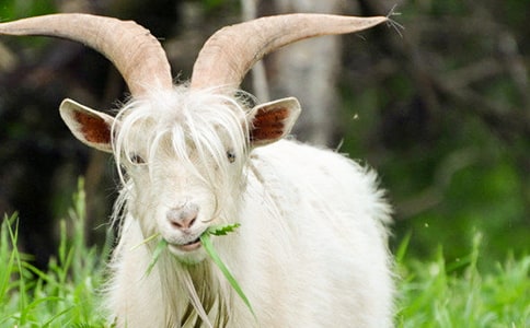 �������cɽ���x���