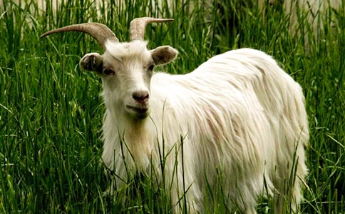 ɽ�򲻳����ò��x���