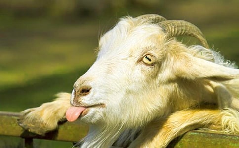 ɽ�򲻳����ò��x��з��ģ�ͨ��6ƪ��