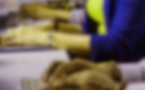 ����̄��ĵ��w��15ƪ