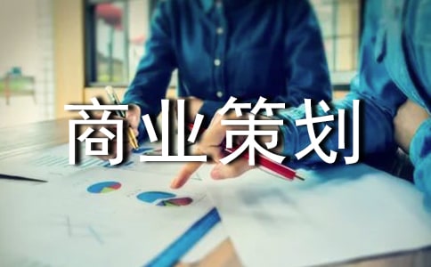 網絡營銷商業策劃書