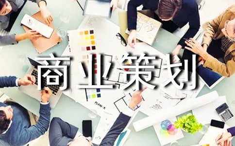 商業(yè)策劃書的`格式范文