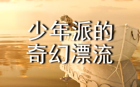 少年派的奇幻漂流讀后感
