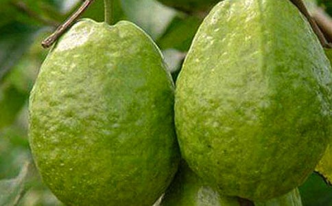 ���l��ʯ������(15ƪ)