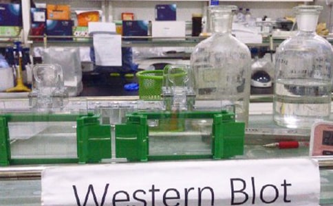 ��(sh��)�(y��n)�ҌW(xu��)�ڹ������Y(ji��)