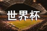 世界杯足球比賽的觀后感范文(通用26篇)