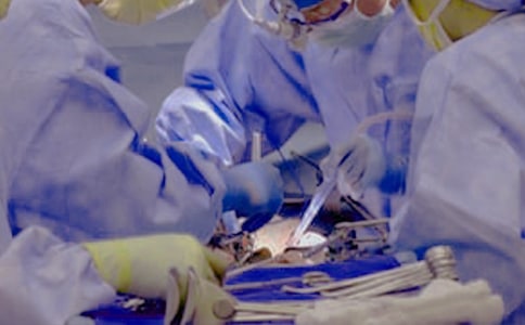 �����g(sh��)�_(t��i)����ꇵء���(x��)�}���𰸾��x