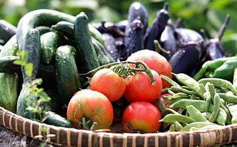 �а�ƌWһ�@�߲˽̰�