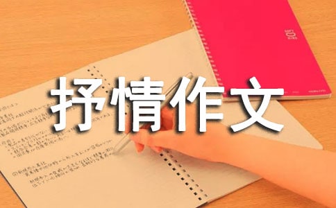 �ҵİl�F�S�P��������