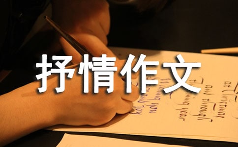 �������ġ�����