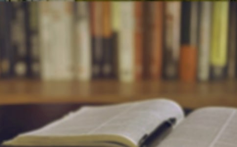 ������Ľ�������