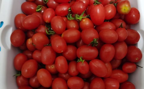 С��ƌW�̰�:ˮ������