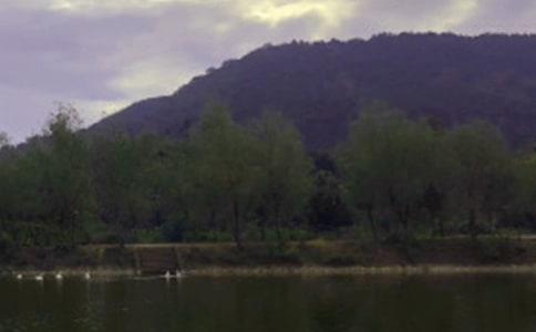 ���l��ˮ�����ļ���15ƪ