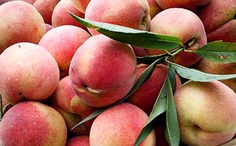 ���l(xi��ng)��ˮ�������ģ�ͨ��24ƪ��