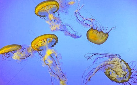 �^��ˮĸ������(���x4ƪ)