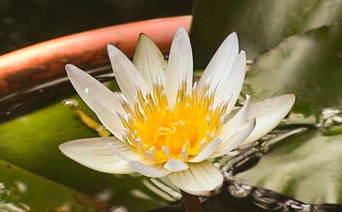 �а�ƌW���|�n�̰����̌W��˼��˯ɏ���_��