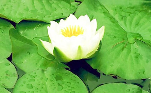 �x���˯ɏ���_����