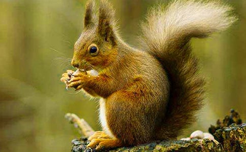 ���P(gu��n)������i�Z���]