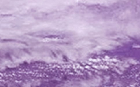 ���_�L�������Y