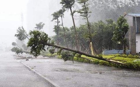 ��I(y��)�_�L(f��ng)���ꑪ(y��ng)��̎��������ͨ��7ƪ��