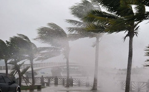 �_�L�^����������������ͨ��7ƪ��