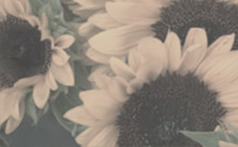 ���C������̫ꖻ���x�����