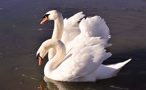 �������Z����