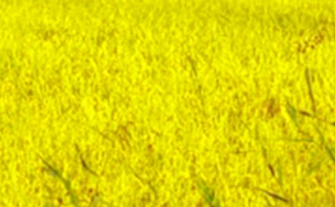 ��Ұ�Ę���x��