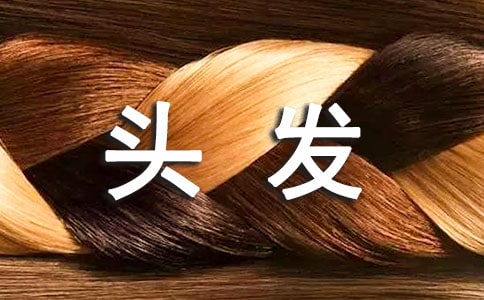 ���^�l�s���S�P