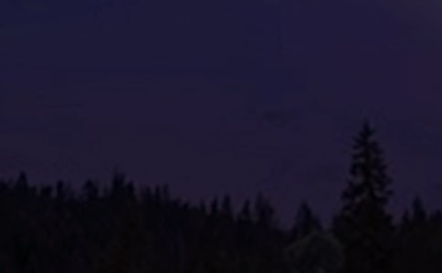 �P(gu��n)������ף���Z�R��110��