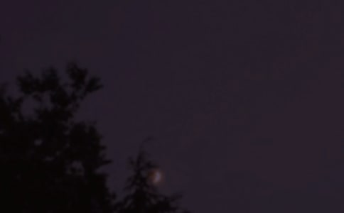 Ψ������ף���Z�R����ͨ��55�䣩