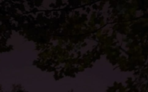 ���Â�������ף���Z��ͨ��45�䣩