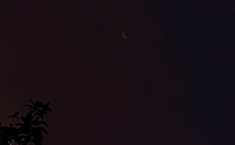 ���������Z���]��