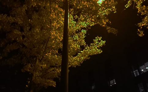 常用唯美晚安句子115句精選