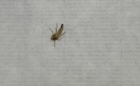 ����������x��