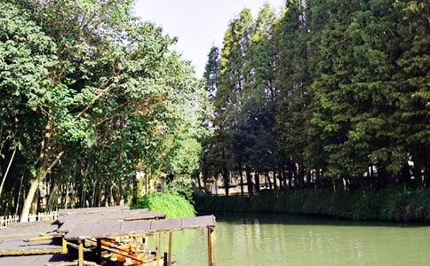 �㽭��悌����~���f_�����~